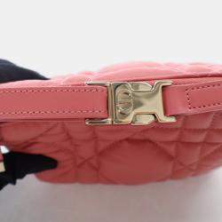 Dior Small Calfskin Nomad Pouch