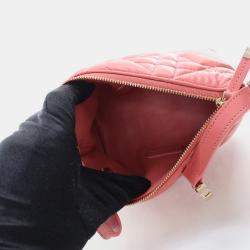 Dior Small Calfskin Nomad Pouch