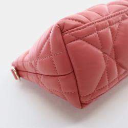 Dior Small Calfskin Nomad Pouch