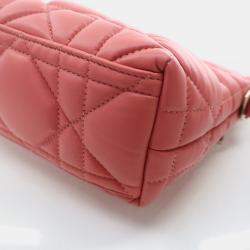 Dior Small Calfskin Nomad Pouch