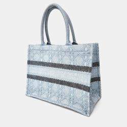 Dior Blue Raffia Book Tote Bag