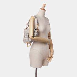 Dior Grey Oblique Embroidered Canvas Saddle Bag