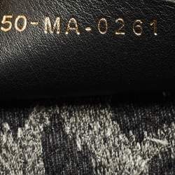 Dior Multicolor Leopard Velvet and Canvas Medium Book Tote
