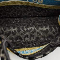 Dior Multicolor Leopard Velvet and Canvas Medium Book Tote