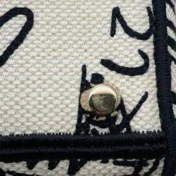 Dior Red/White Medium Canvas DiorAmour Graffiti Lady D Lite