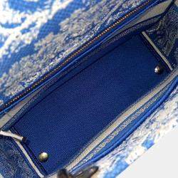 Pre Owned Dior Blue White Fabric D-LITE Lady Bag Medium