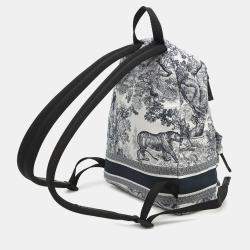 Pre Owned Dior Dior Travel Small White/Navy Nylon Backpack