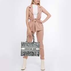 Pre Owned Dior Blue/Beige Embroidered Toile de Jouy Canvas Medium Book Tote 