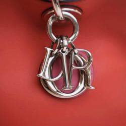 مملوكة مسبقًا حقيبة توتس ديور ديوريسيمو جلد عجل وبيثون صغيرة