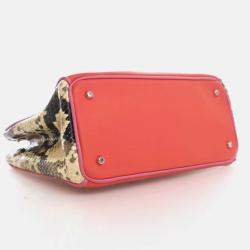 مملوكة مسبقًا حقيبة توتس ديور ديوريسيمو جلد عجل وبيثون صغيرة