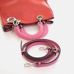 مملوكة مسبقًا حقيبة توتس ديور ديوريسيمو جلد عجل وبيثون صغيرة