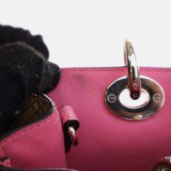 مملوكة مسبقًا حقيبة توتس ديور ديوريسيمو جلد عجل وبيثون صغيرة