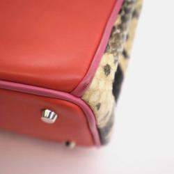 مملوكة مسبقًا حقيبة توتس ديور ديوريسيمو جلد عجل وبيثون صغيرة