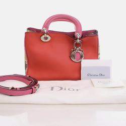 مملوكة مسبقًا حقيبة توتس ديور ديوريسيمو جلد عجل وبيثون صغيرة