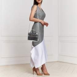 Pre Owned Dior Metallic Silver Python Mini Diorever Tote