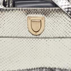 Pre Owned Dior Metallic Silver Python Mini Diorever Tote