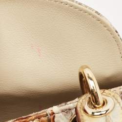 Pre Owned Dior Beige/Gold Python Mini Lady Dior Tote