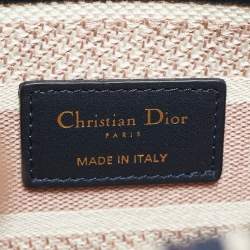 Pre Owned Dior Multicolor Tie-Dye Embroidered Canvas Medium Lady D-Lite Tote