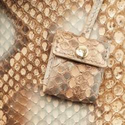 Pre Owned Dior Beige Python Medium Miss Dior Flap Bag