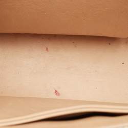 Pre Owned Dior Beige Python Medium Miss Dior Flap Bag