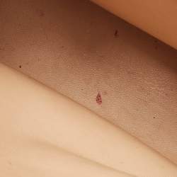 Pre Owned Dior Beige Python Medium Miss Dior Flap Bag