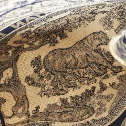 Pre Owned Dior Blue/Beige Toile De Jouy Embroidered Canvas Medium Book Tote