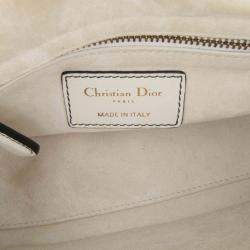Pre Owned Dior White Limited Edition Niki De Saint Phalle Mini Calfskin Dragon Lady Dior