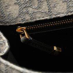 Pre Owned Dior Grey Medium Oblique Canvas 30 Montaigne Bag