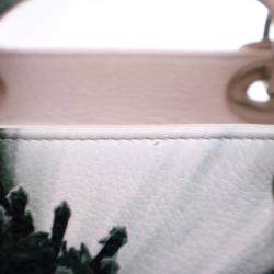 Pre Owned Dior Medium Deerskin Floral Lady Dior