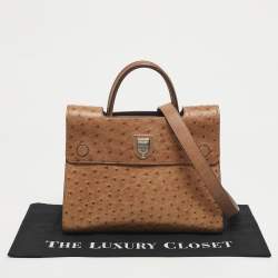 Pre Owned Dior Brown Ostrich Medium Diorever Top Handle Bag