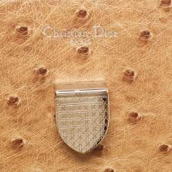 Pre Owned Dior Brown Ostrich Medium Diorever Top Handle Bag