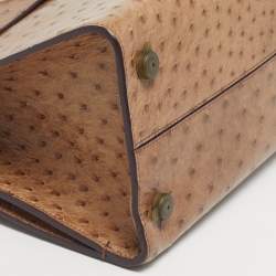 Pre Owned Dior Brown Ostrich Medium Diorever Top Handle Bag