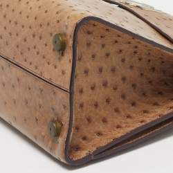 Pre Owned Dior Brown Ostrich Medium Diorever Top Handle Bag