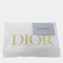 Pre Owned Dior Green Tie Dye Vertical Book Tote