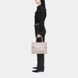 Pre Owned Dior Grey Medium Oblique Embroidered Canvas Book Tote