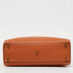 Pre Owned Dior Orange Canyon Grained Leather Large Lady Dior Tote