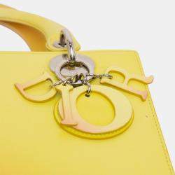 Pre Owned Dior Multicolor Medium Ombre Calfskin Lady Dior
