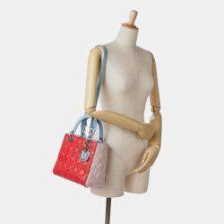 Pre Owned Dior Multicolor Medium Tricolor Lambskin Cannage Lady Dior