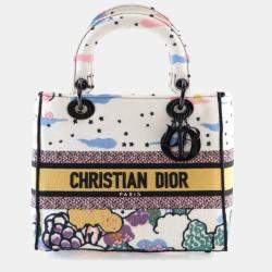Pre Owned Dior Medium Multicolor Embroidered Canvas Lady Dior Handbag