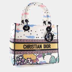 Pre Owned Dior Medium Multicolor Embroidered Canvas Lady Dior Handbag