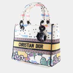 Pre Owned Dior Medium Multicolor Embroidered Canvas Lady Dior Handbag