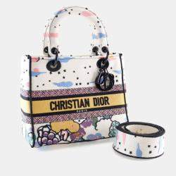 Pre Owned Dior Medium Multicolor Embroidered Canvas Lady Dior Handbag