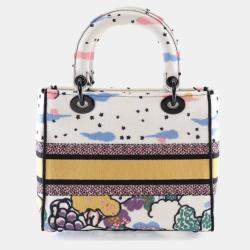 Pre Owned Dior Medium Multicolor Embroidered Canvas Lady Dior Handbag