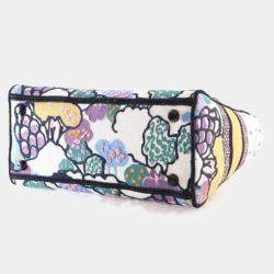Pre Owned Dior Medium Multicolor Embroidered Canvas Lady Dior Handbag
