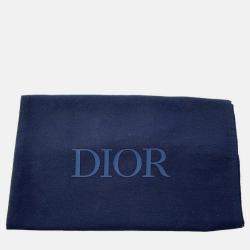 Pre Owned Dior Gravity Pouch Gray Leather