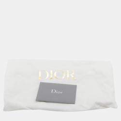 Pre Owned Dior White Small Smooth Calfskin Embroidered Diorcamp Messenger Bag