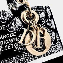 Pre Owned Dior Black Fabric D-LITE Lady Bag Medium