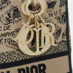 Pre Owned Christian Dior Plan De Paris Lady D-Light Medium Handbag