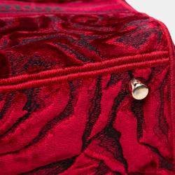 Pre Owned Dior Red Medium Embroidered Velvet Roses Lady D Lite