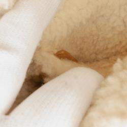 Pre Owned Dior Brown/White Mini Suede Shearling Cannage Lady Dior